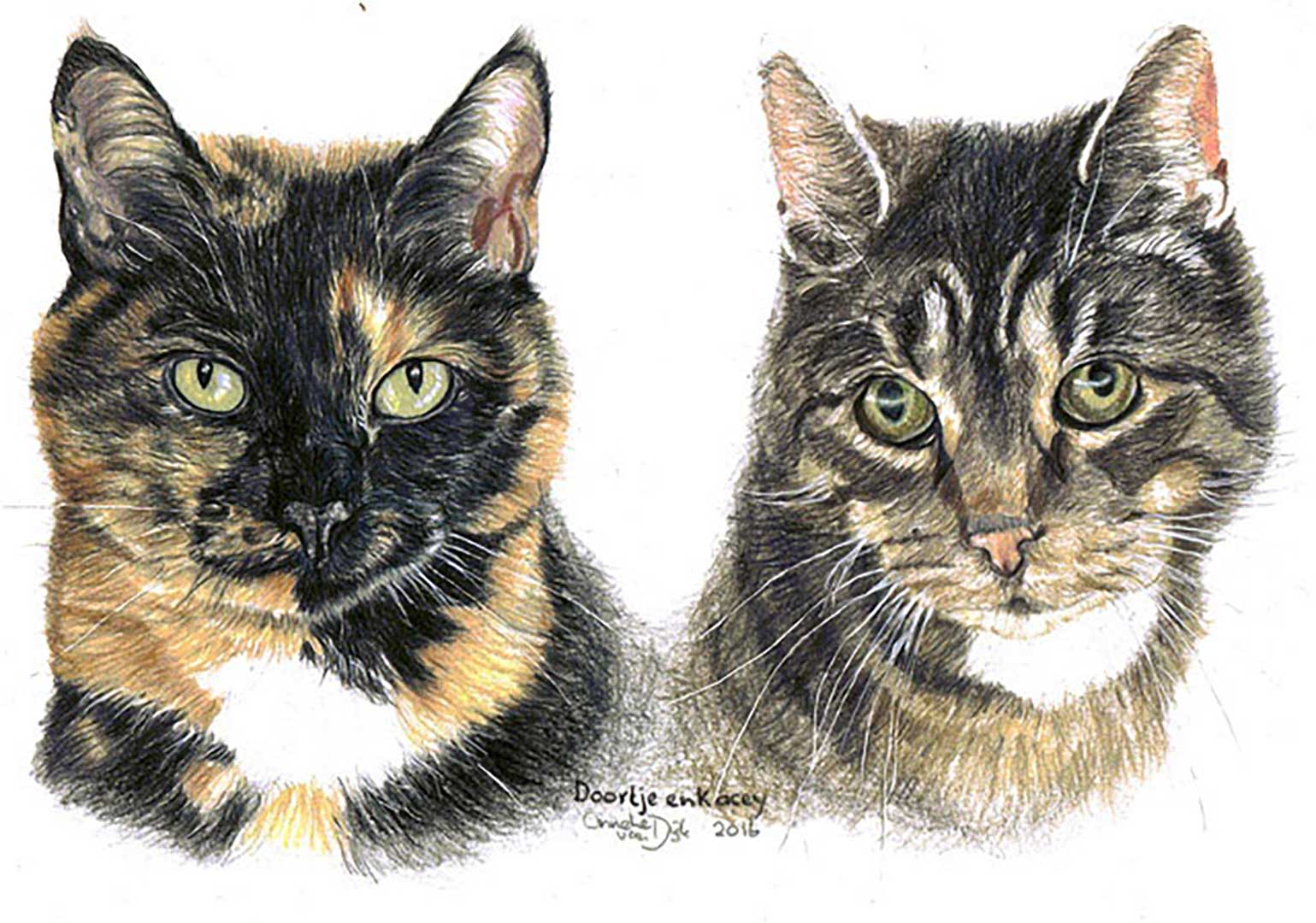 2016 Kacey-en-Doortje-tekening-poezen-katten-kater-herinnering-huisdier-kado