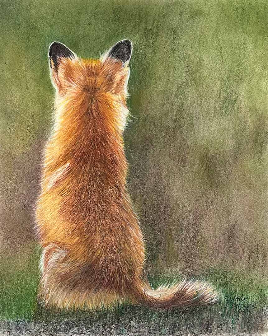 vosje-getekend-door-Anneke-Broerse